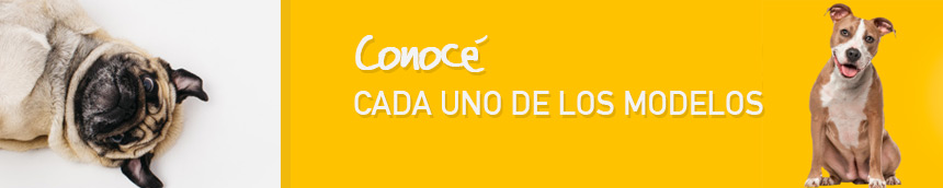 camitas y cuchas para perros al mejor precio