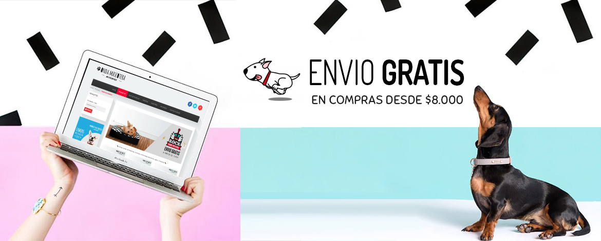 envio gratis productos mascotas perros  onda mascotera