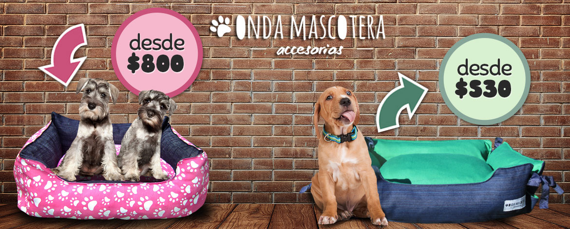 elegi y combina el estampado y color que te guste. camitas colchon fundas promociones precios especiales Onda Mascotera