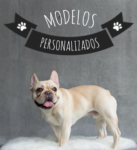 los mejores productos para tus mascotas