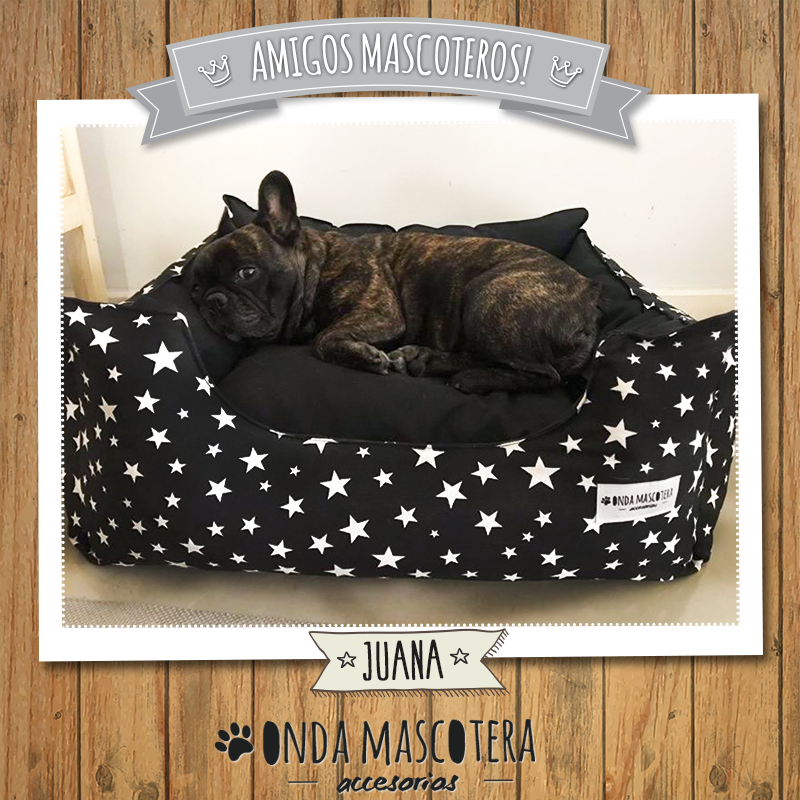 camita camuflado para bulldog frances negro