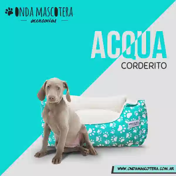 cunita moises para jack rusell abrigada antidesgarro