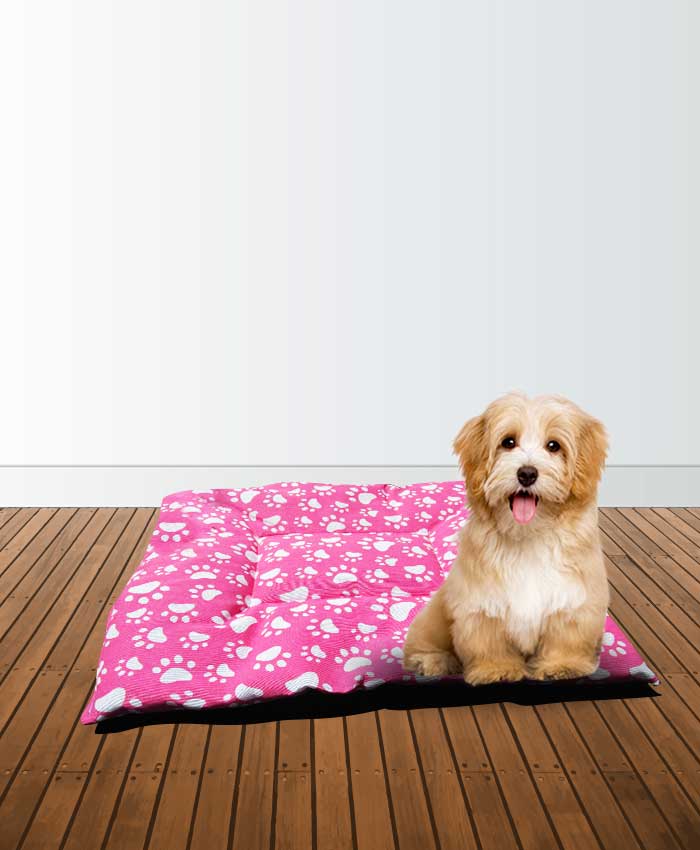 Almohadon estampao patitascolorida con dibujitos para perros y gatos