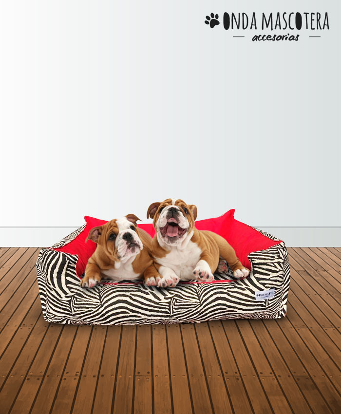 Bulldog inglés en camita  reversible animal print cebra estampado Onda Mascotera